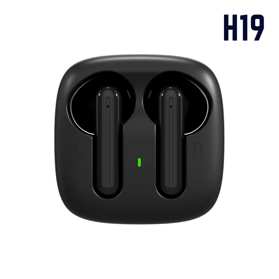 H19