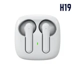 H19