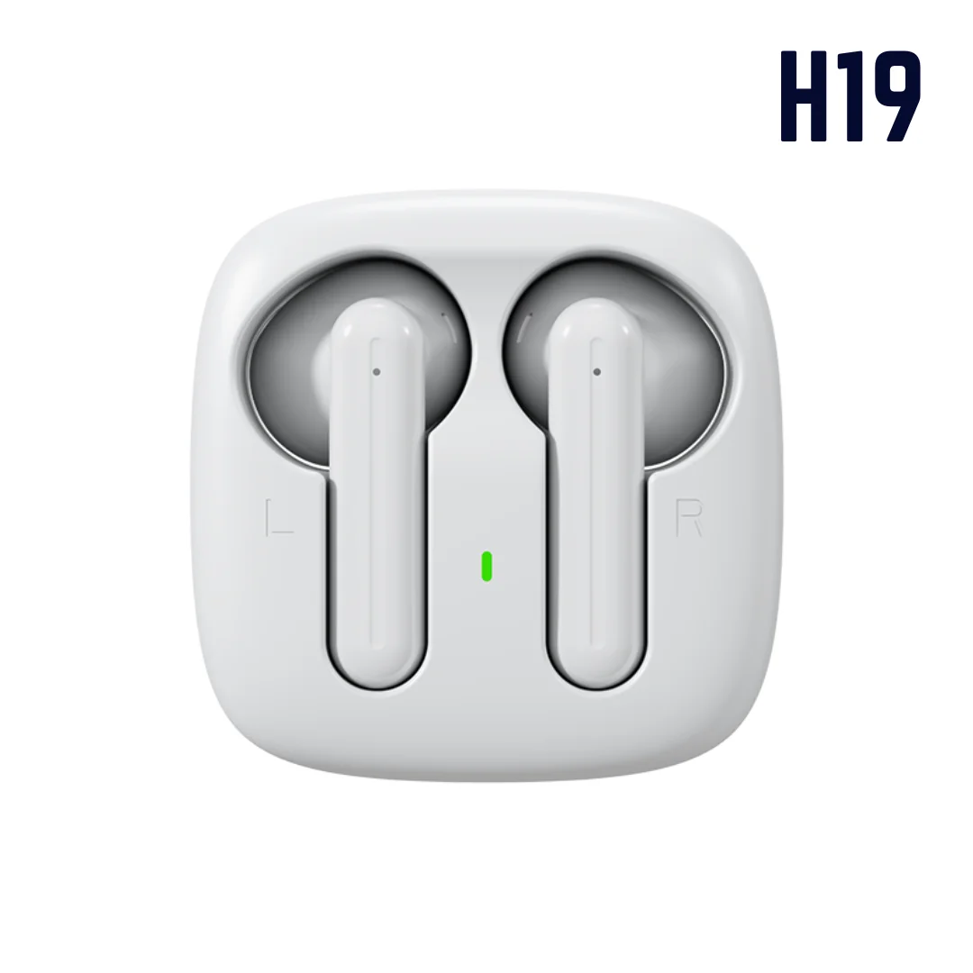 H19